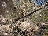 Hike to the Rio Grande : New Mexico